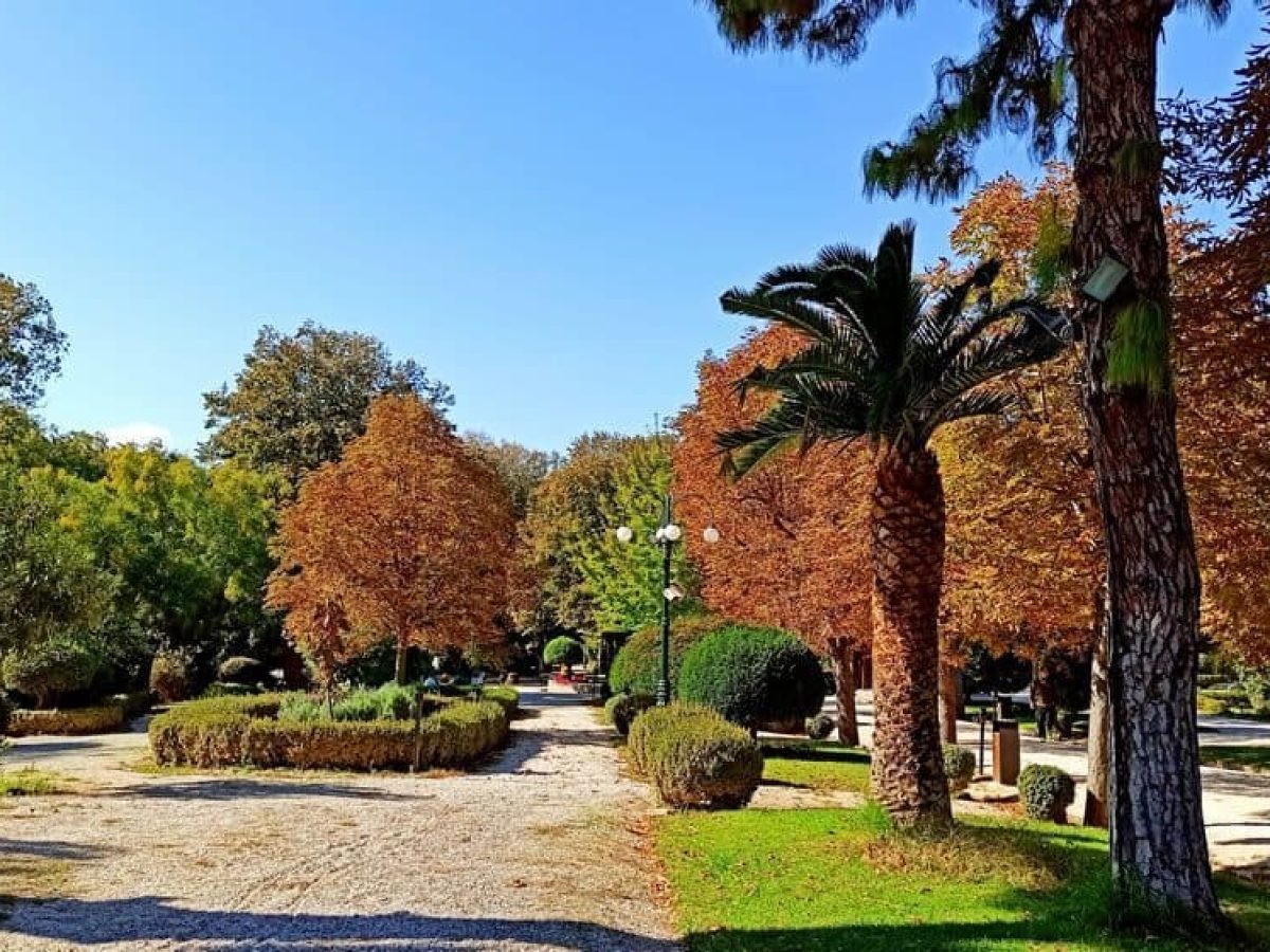 Τι Γίνεται στο Άλσος Κηφισιάς;;…Ανώνυμος Συμμετέχων στο FB στις 21/11/25