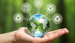 ti-kerdise-i-kifisia-apo