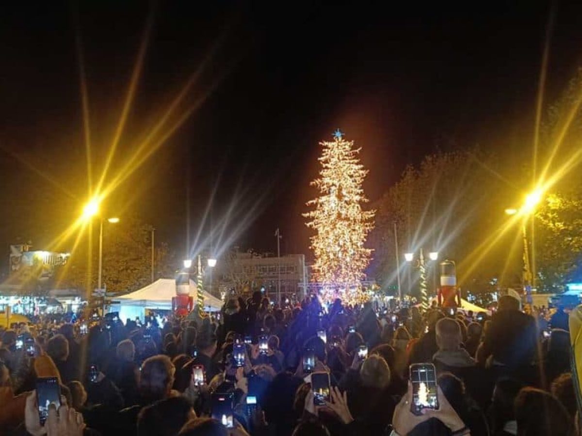 Τρίκαλα: Φωταγωγήθηκε το ψηλότερο φυσικό χριστουγεννιάτικο δέντρο