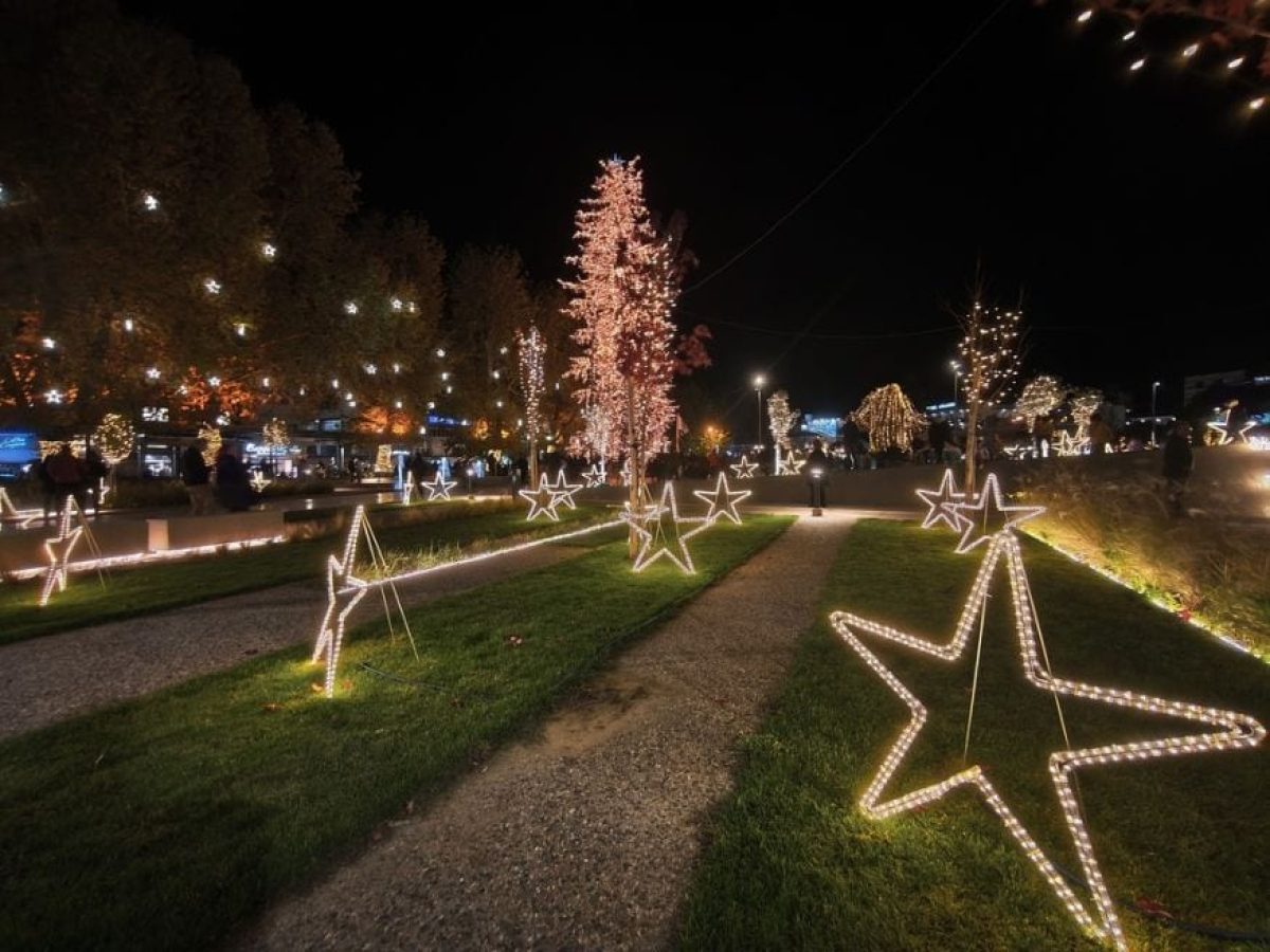 Τρίκαλα: Καλές γιορτές με φωταγωγημένο το υψηλότερο φυσικό χριστουγεννιάτικο δέντρο !