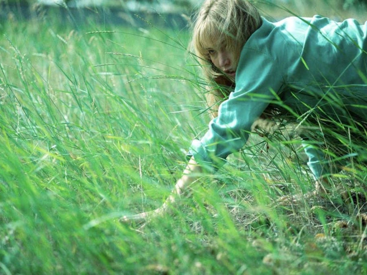 Τζένιφερ Λόρενς, Οικονομίδης και μεταφυσικό ρομάντζο από αύριο στους κινηματογράφους