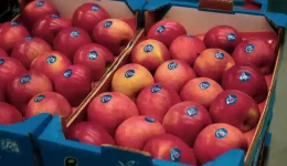 xekinise-me-enthousiasmo-sti-thessaloniki