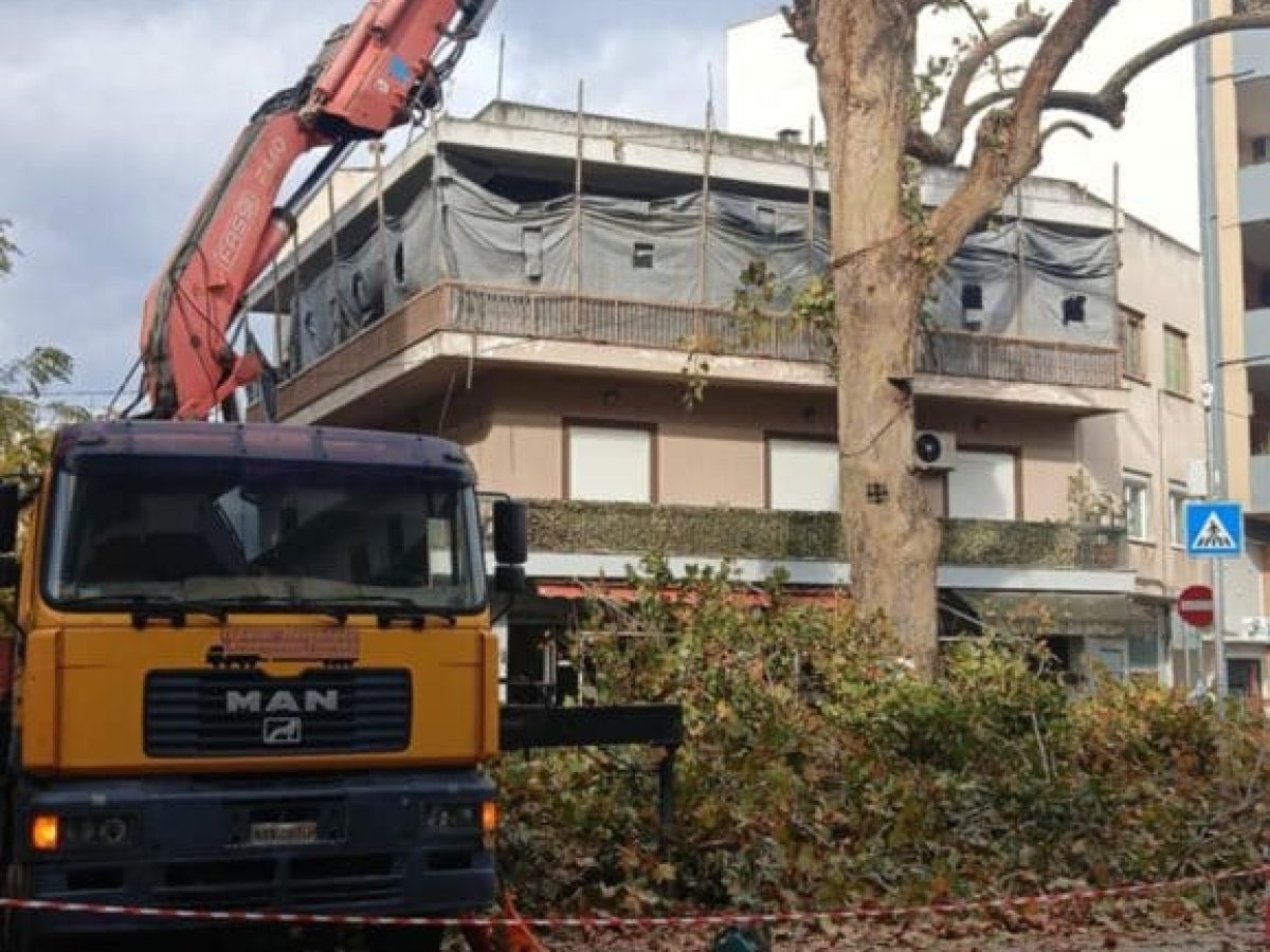 Ξεκίνησε το φθινοπωρινό κλάδεμα των ψηλών δέντρων στην οδό Ασκληπιού