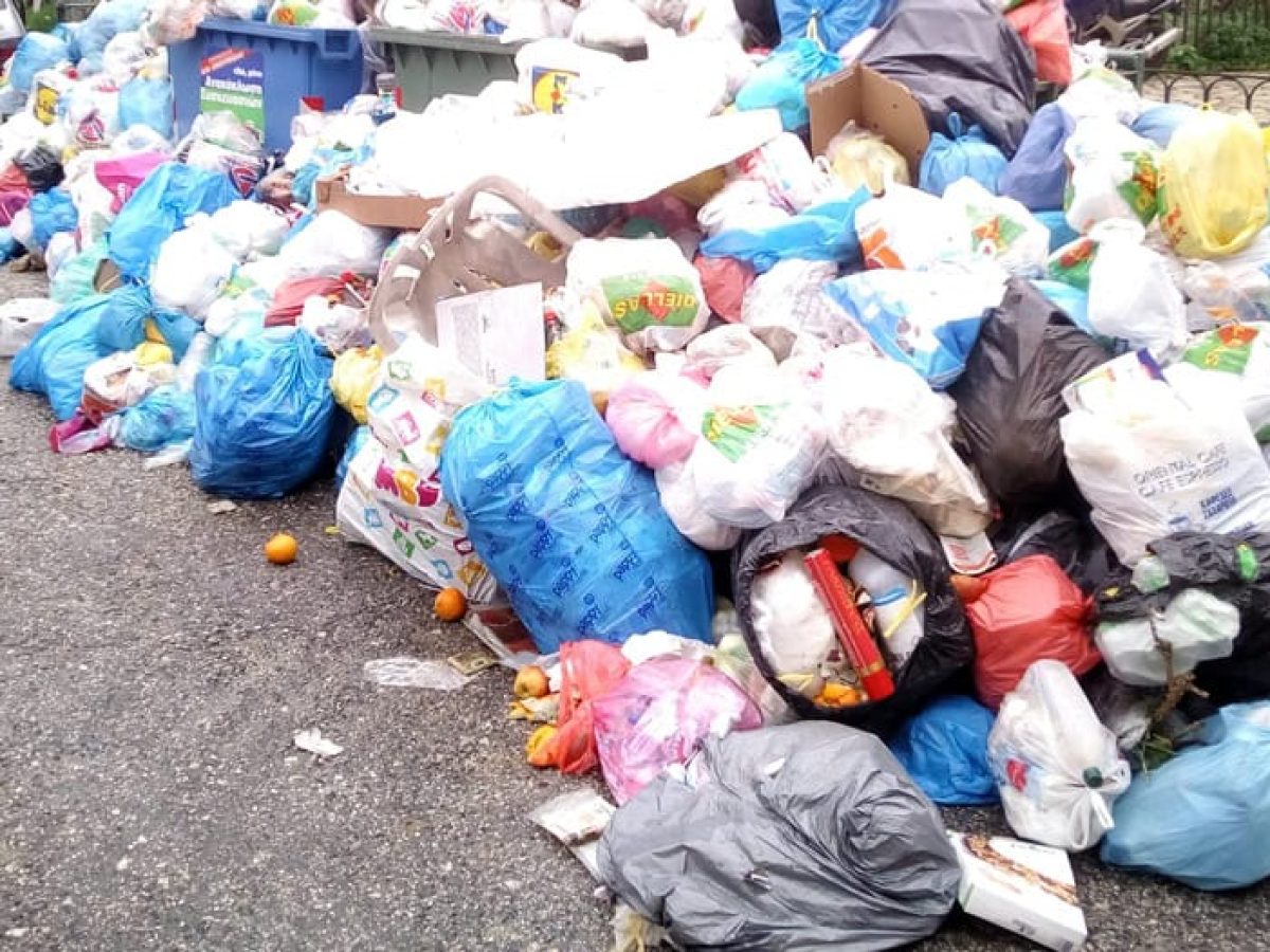 Ζάκυνθος: Πανελλαδική «πρωτιά» στα κρούσματα λεπτοσπείρωσης