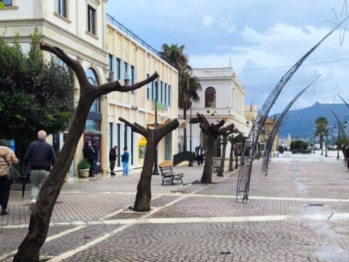 Ζάκυνθος | Αντιδράσεις για το έντονο κλάδεμα των δέντρων – Τι απαντά η δημοτική αρχή (φωτο)