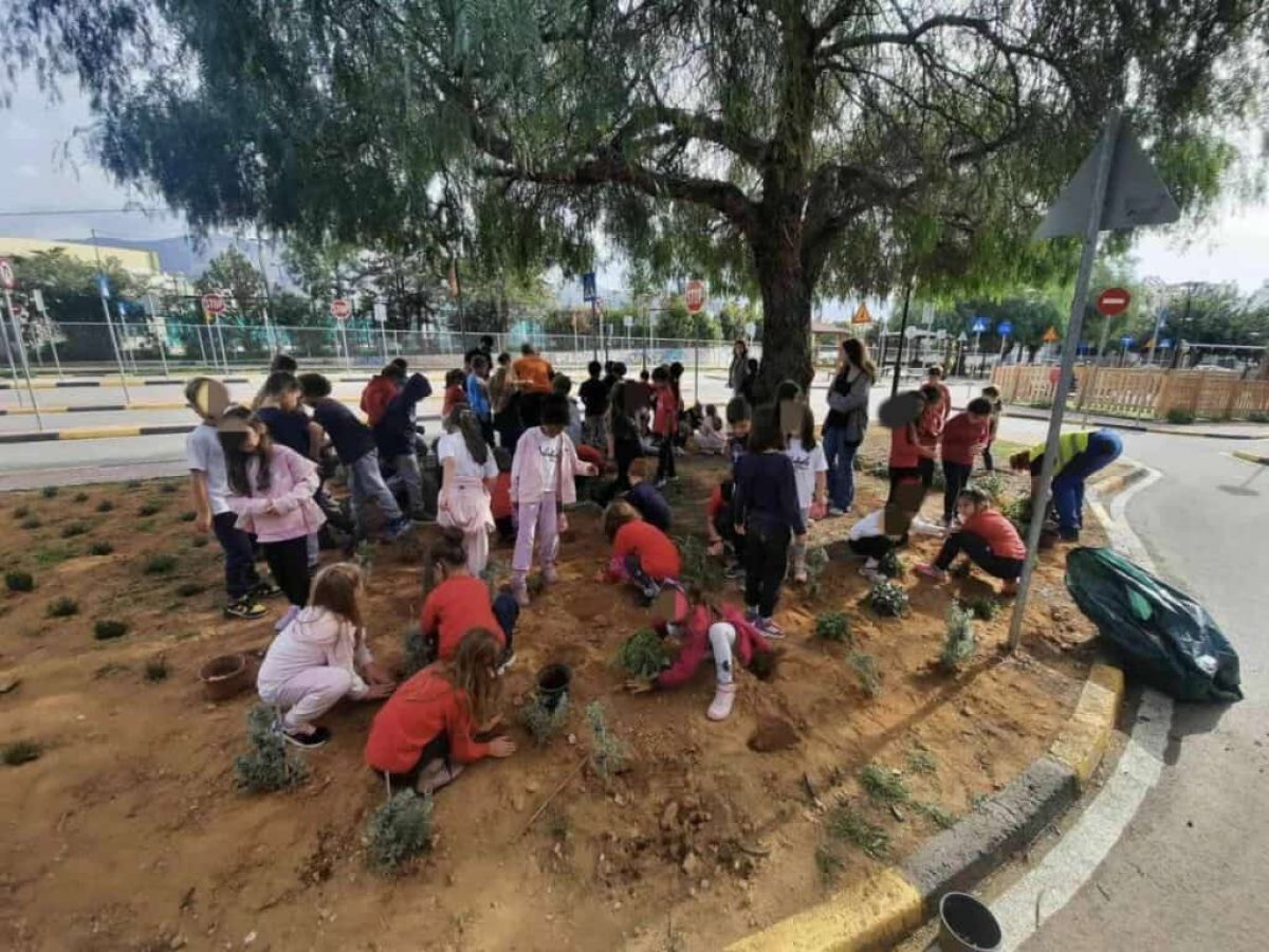 Άλιμος: Νέα «ανάσα» πρασίνου στο Πάρκο Κυκλοφοριακής Αγωγής