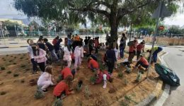 Άlimos-nea-anasa-prasinou-sto