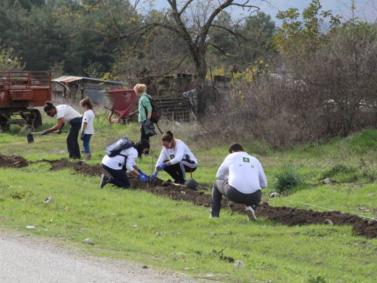Αλλα 70 δέντρα στον Δ. Τρικκαίων και στη ΔΚ Μεγάρχης