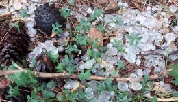 Αnakinosi-tou-elgΑ-gia-tis