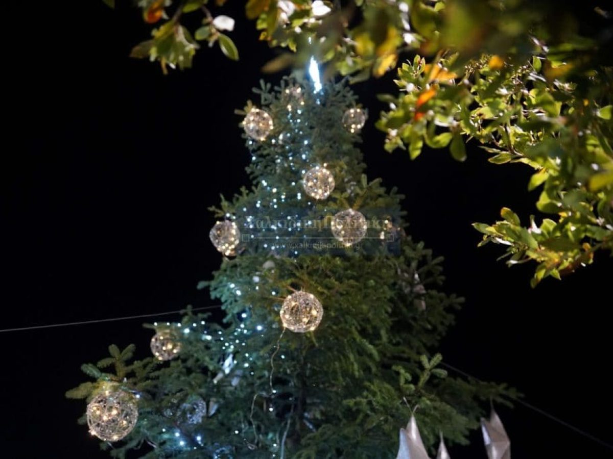 Αναβάλλεται το άναμμα του χριστουγεννιάτικου δέντρου στην Ιερισσό