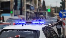 Αnilikos-raliman-ke-o-sinergos