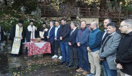 &Alpha;rtoklasia-stin-fatni-salakou