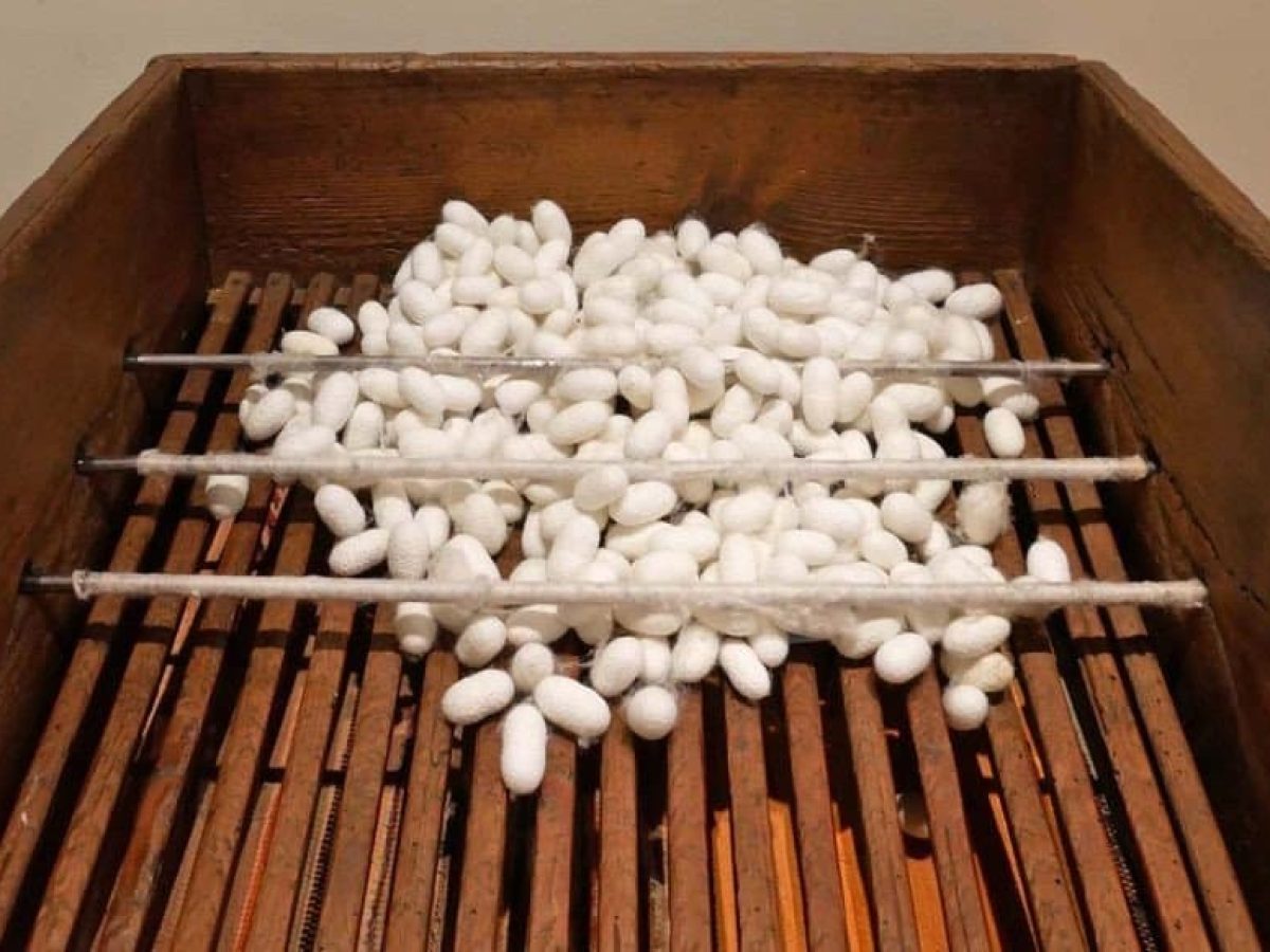 Evdaimonia: Η οικοτεχνία του Σουφλίου που μετατρέπει το κουκούλι σε φυσικό προϊόν ομορφιάς 