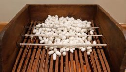 Evdaimonia-i-ikotechnia-tou-soufliou