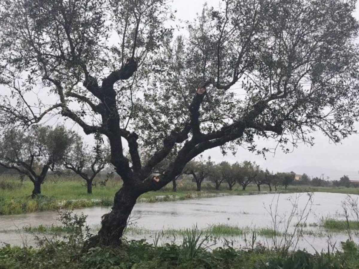 O καιρός αύριο Τρίτη – Τσουχτερό κρύο και δυνατούς ανέμους (video)