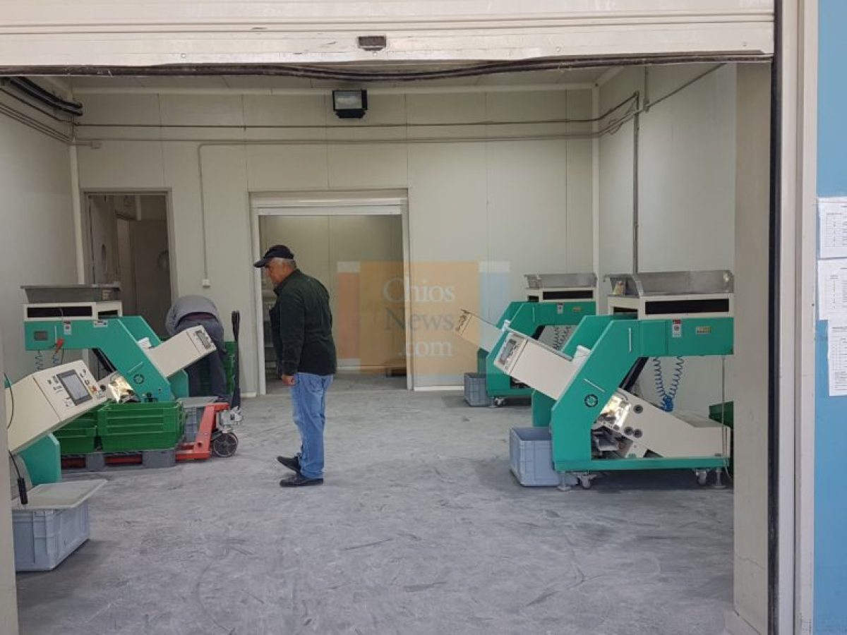 Μποναμάς για τους μαστιχοπαραγωγούς