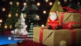 chamili-ptisi-Xmas-Edition