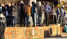 chania-entopistikan-60-metanastes