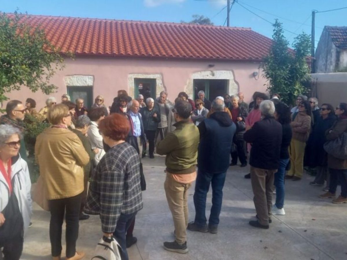 &Chi;&alpha;&nu;&iota;ά | &Eta; &Iota;&Lambda;&Alpha;&Epsilon;&Kappa; &sigma;&tau;&omicron;&nu; &Alpha;&nu;&alpha;&tau;&omicron;&lambda;&iota;&kappa;ό &Alpha;&pi;&omicron;&kappa;ό&rho;&omega;&nu;&alpha; | Photos