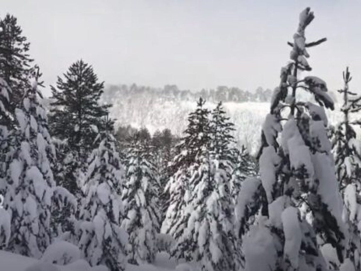 Χιονισμένες εικόνες από τη Βάλια Κάλντα και τη Βασιλίτσα (Βίντεο)