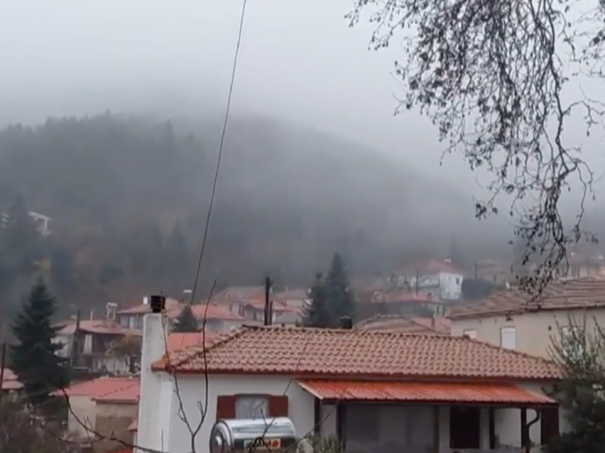 &Chi;&rho;&iota;&sigma;&tau;&omicron;&upsilon;&gamma;&epsilon;&nu;&nu;&iota;ά&tau;&iota;&kappa;&epsilon;&sigmaf; &epsilon;&upsilon;&chi;έ&sigmaf; &alpha;&pi;ό &tau;&omicron;&nu; &Alpha;&mu;ά&rho;&alpha;&nu;&tau;&omicron; &Kappa;&alpha;&rho;&delta;ί&tau;&sigma;&alpha;&sigmaf; &tau;&omega;&nu; &omicron;&gamma;&delta;ό&nu;&tau;&alpha; &mu;ό&nu;&iota;&mu;&omega;&nu; &kappa;&alpha;&tau;&omicron;ί&kappa;&omega;&nu; &kappa;&alpha;&iota; &tau;&omicron;&nu; &mu;&omicron;&nu;&alpha;&delta;&iota;&kappa;ό &kappa;ά&tau;&omicron;&iota;&kappa;&omicron; &sigma;&tau;&omicron; &Gamma;&iota;&alpha;&nu;&nu;&omicron;&chi;ώ&rho;&iota; &Nu;&epsilon;&sigma;&tau;&omicron;&rho;ί&omicron;&upsilon;