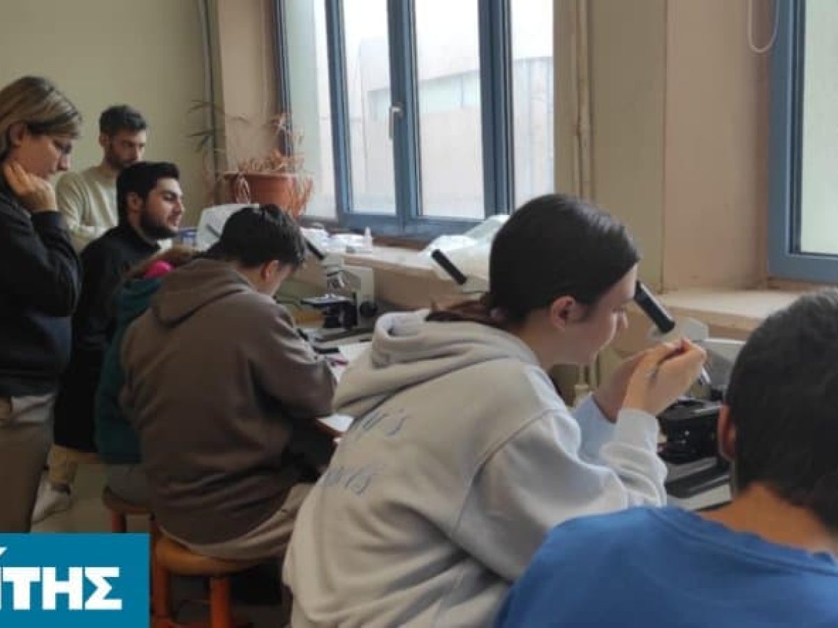 Διάκριση για το 3ο Πειραματικό ΓΕΛ Χίου στον τοπικό διαγωνισμό EOES