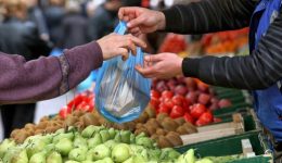 dimos-lamieon-pos-tha-litourgisoun