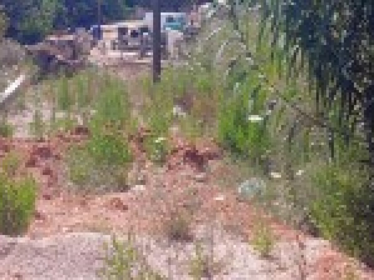 Δημοτικό Συμβούλιο Λευκάδας: Όταν η ερώτηση είναι σαφής και η απάντηση απούσα