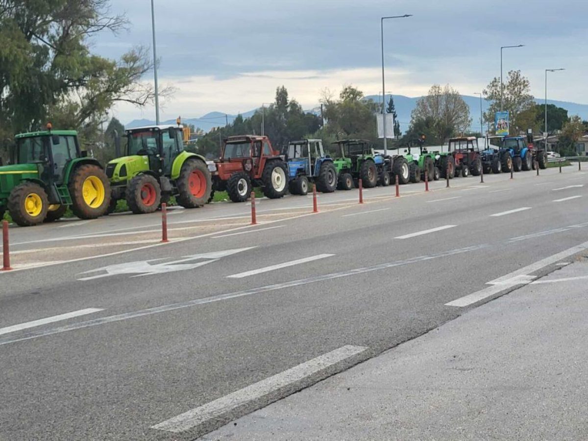 &Delta;&upsilon;&tau;&iota;&kappa;ή &Alpha;&chi;&alpha;ΐ&alpha;: &Alpha;ύ&rho;&iota;&omicron; &Delta;&epsilon;&upsilon;&tau;έ&rho;&alpha; &alpha;&pi;&omicron;&phi;&alpha;&sigma;ί&zeta;&omicron;&upsilon;&nu; &omicron;&iota; &alpha;&gamma;&rho;ό&tau;&epsilon;&sigmaf; &pi;&omicron;&iota;&epsilon;&sigmaf; &theta;&alpha; &epsilon;ί&nu;&alpha;&iota; &omicron;&iota; &epsilon;&pi;ό&mu;&epsilon;&nu;&epsilon;&sigmaf; &kappa;&iota;&nu;ή&sigma;&epsilon;&iota;&sigmaf; &tau;&omicron;&upsilon;&sigmaf;