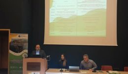 ditiki-ellada-ekdilosi-gia-tin