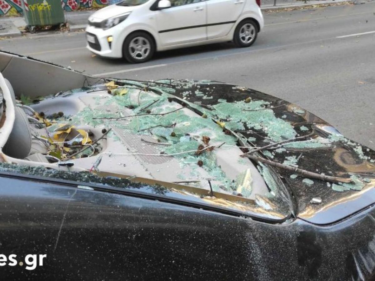 Θεσσαλονίκη: Μεγάλο κλαδί έπεσε πάνω σε όχημα που ήταν εν κινήσει (ΒΙΝΤΕΟ & ΦΩΤΟ)