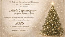 efches-Αpo-ton-pΑgchΑlkidiko-sillogo