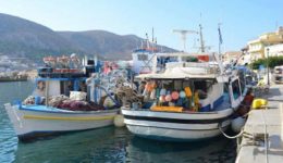 ekloges-stin-enosi-Αlieon-mesis