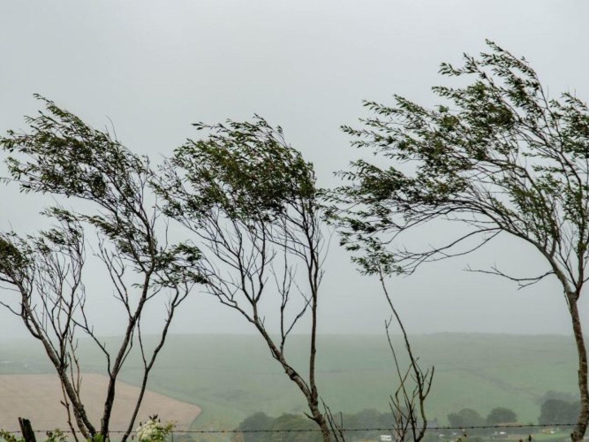 Έκτακτο δελτίο Αρναούτογλου: Θυελλώδεις άνεμοι και έντονο κρύο σε Θεσσαλονίκη, Κιλκίς, Σέρρες και Χαλκιδική