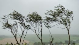 ektakto-deltio-Αrnaoutoglou-thiellodis-anemi