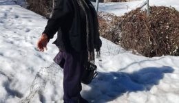 ena-politimo-melos-tou-echase