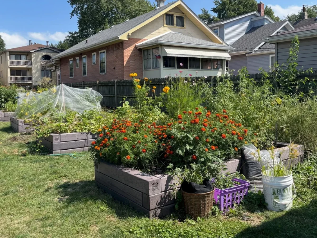Ένας σχολικός κήπος που δείχνει στα παιδιά πώς μεγαλώνει η ζωή