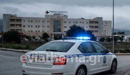 evvia-Άgrios-xilodarmos-sti-nea