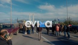 evvia-&ndash;-&Alpha;grotes-klinoun-tin