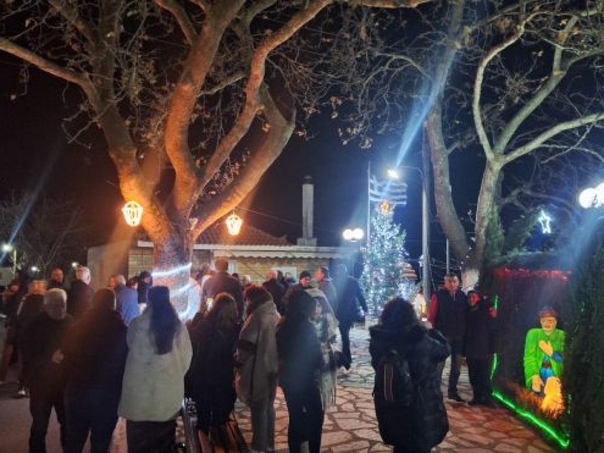 Φωταγώγηση Χριστουγεννιάτικου δέντρου Μαλλωτών (εικόνες)