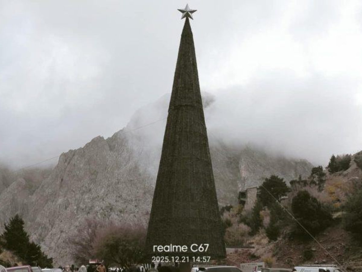 ΦΩΤΟ κ’ ΒΙΝΤΕΟ | Μεγάλο πάρτι στο Ξυλόσκαλο για το ψηλότερο δένδρο στην Ελλάδα