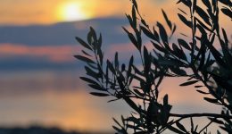 g.-kokkinos-o-dialogos-gia