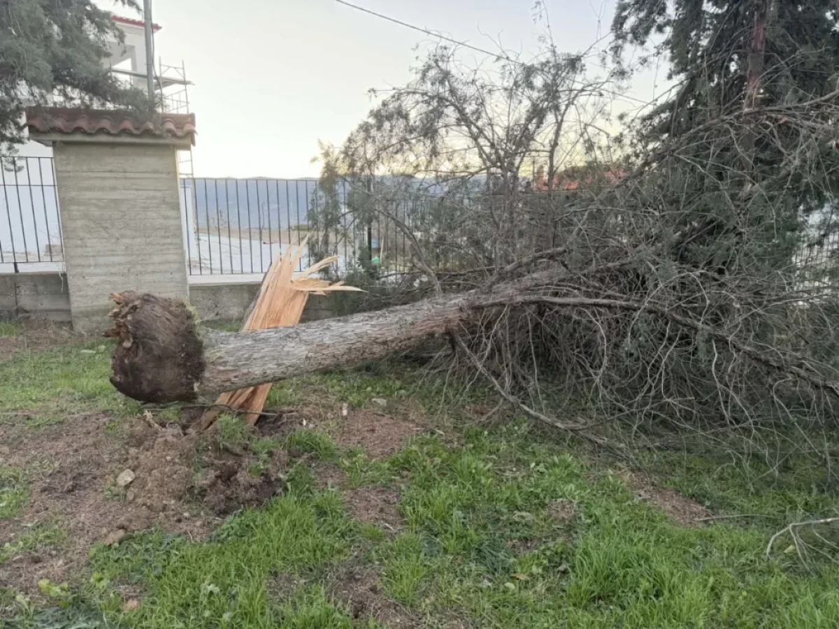 Γαλάτιστα: Άμεση αποκατάσταση των ζημιών από τους ισχυρούς ανέμους – Καθαρός ο χώρος του Γυμνασίου