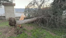 galatista-Άmesi-apokatastasi-ton-zimion