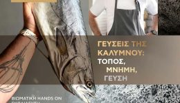 gefsis-tis-kΑlimnoutopos-mnimi-gefsi-viomatiko