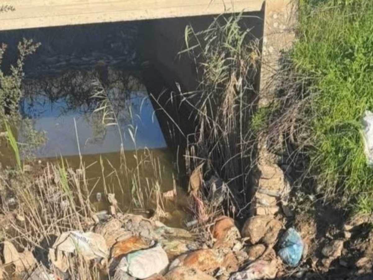 Γέμισαν νεκρά πρόβατα οι αύλακες στο Λεσίνι