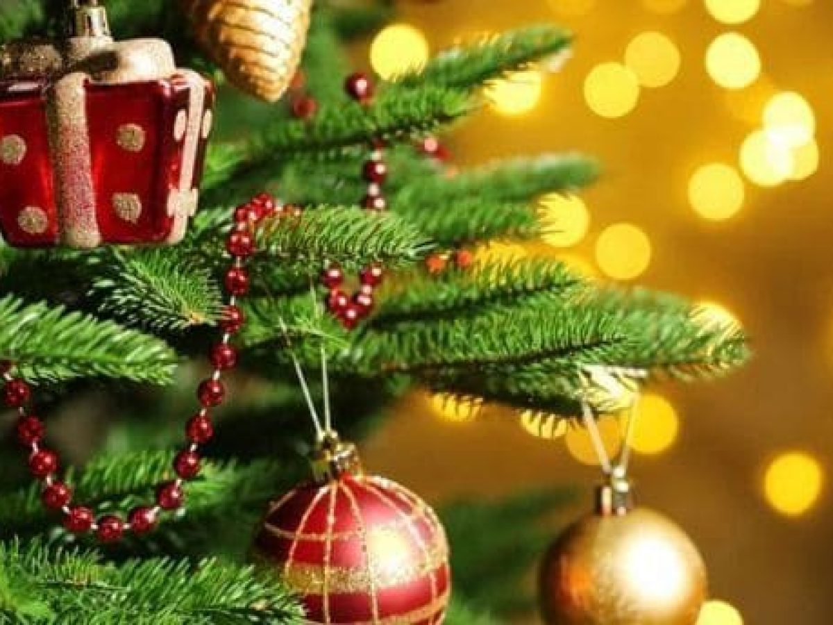 Γιορτινή εκδήλωση την Παρασκευή 26/12 στην πλατεία της Πέτρας