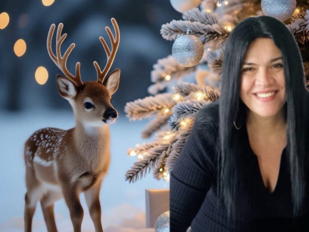 Οι ευχές για τα Χριστούγεννα της Διοικήτριας της Κλειστής Ελεγχόμενης Δομής της Λέρου κ. Τριανταφυλλιάς  Κυπρίζογλου