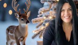 i-efches-gia-ta-christougenna