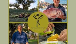 i-koroni-analamvani-tin-proedria